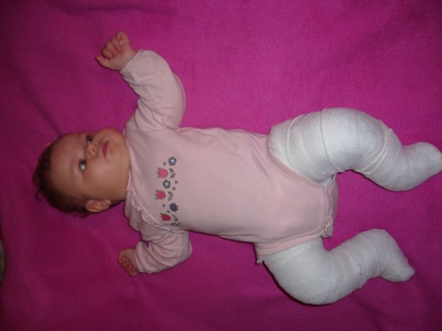 P1020774.jpg